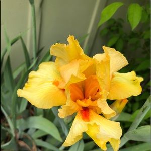 Meet your Posher, Robin